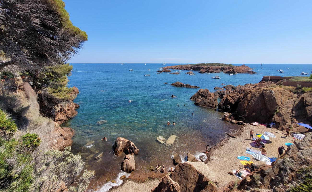 Plage Les Roches de l'ile des Vieilles'in fotoğrafı kayalık arazi yüzey ile
