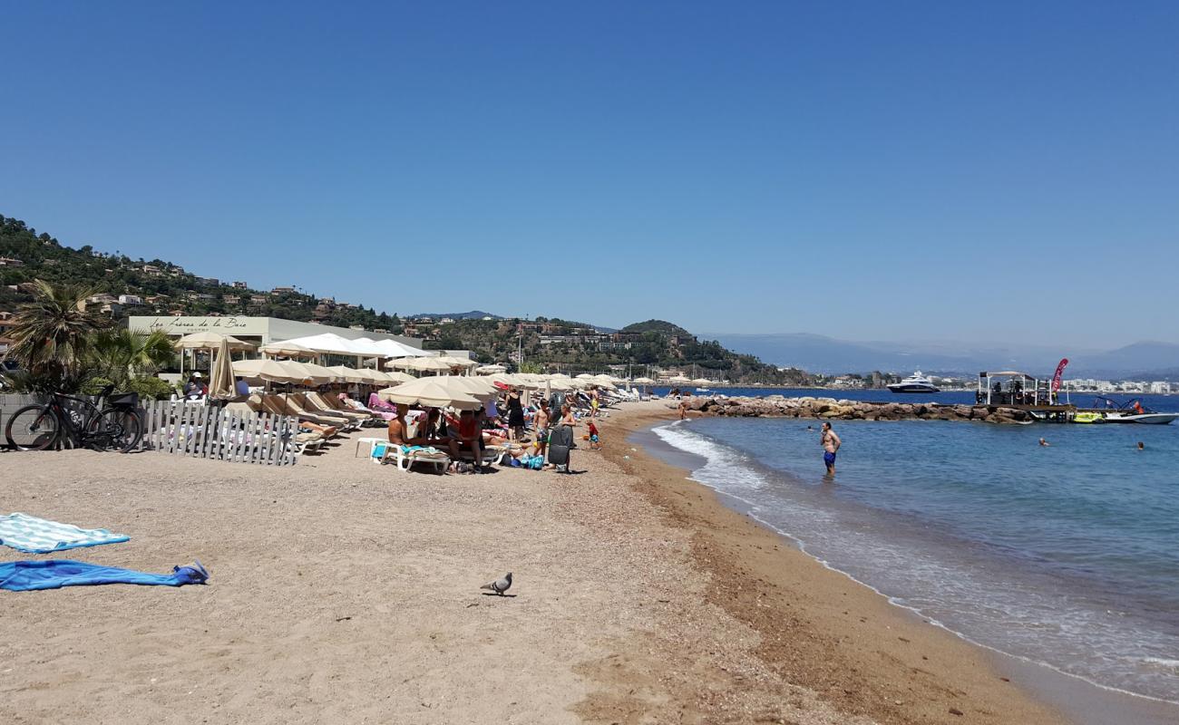 Plage du Vallon de l'Autel'in fotoğrafı parlak kum yüzey ile