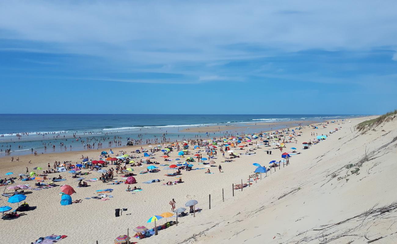 Plage de Messanges'in fotoğrafı açık bej kum yüzey ile