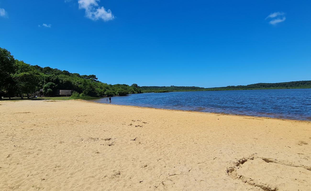 Plage du Lac de Leon'in fotoğrafı açık bej kum yüzey ile