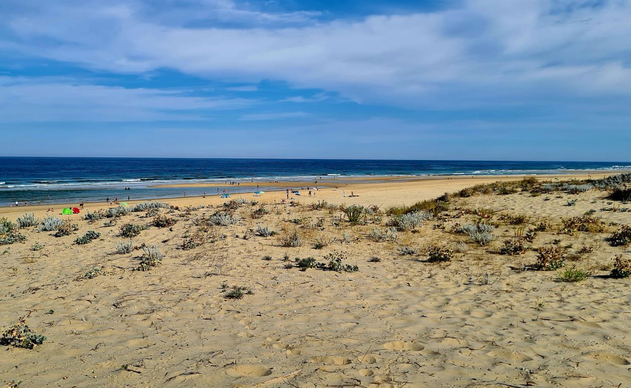 Plage Remember'in fotoğrafı açık bej kum yüzey ile