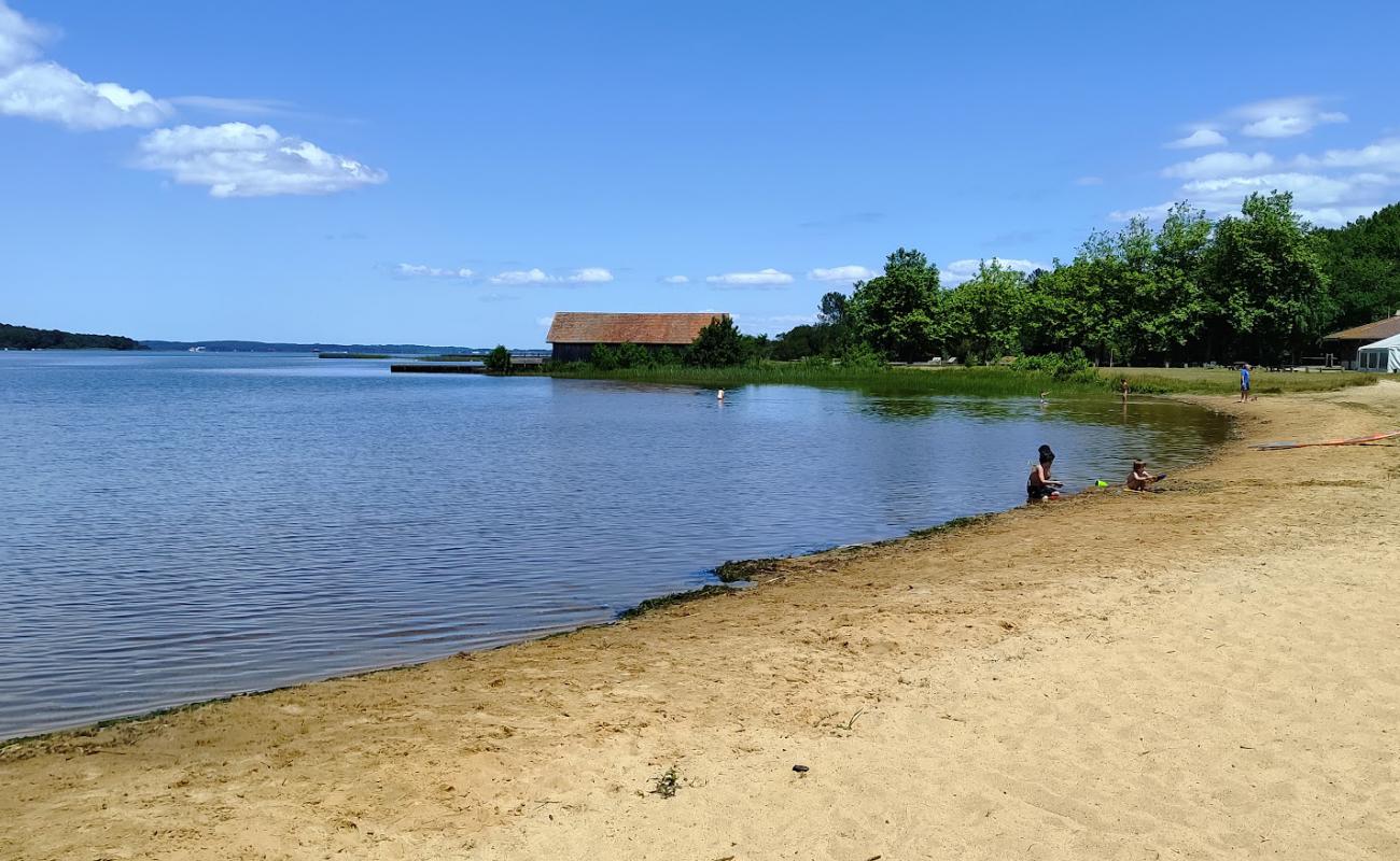 Plage Ste Eulalie en Born'in fotoğrafı açık bej kum yüzey ile