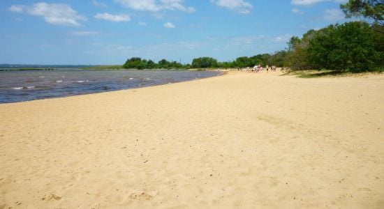 Plage Domaine de la Rive