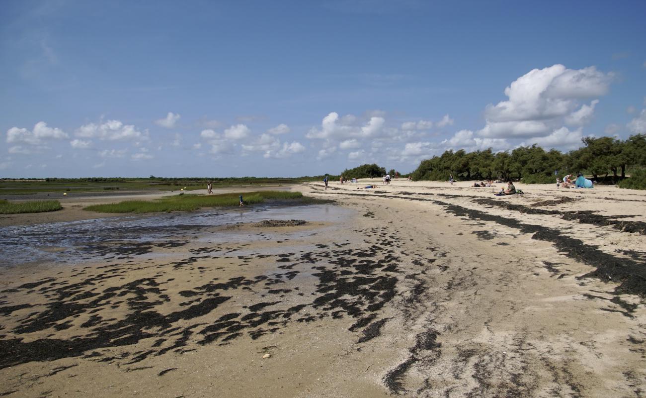 Plage de Graveyron'in fotoğrafı açık bej kum yüzey ile