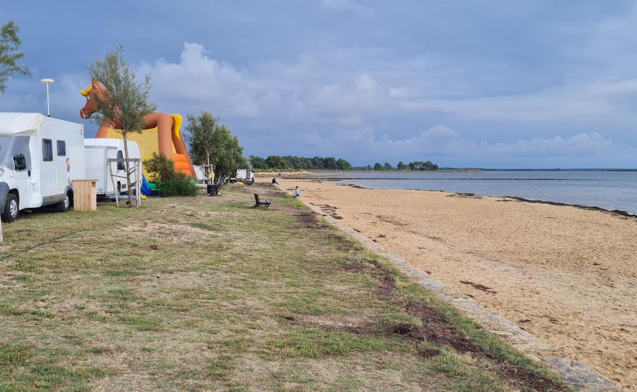 Plage de Cassy'in fotoğrafı açık bej kum yüzey ile