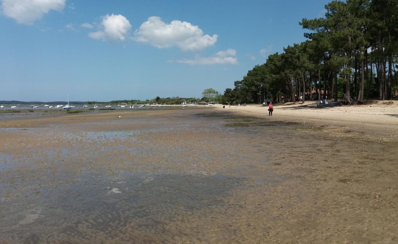 Plage d'Ares'in fotoğrafı açık bej kum yüzey ile