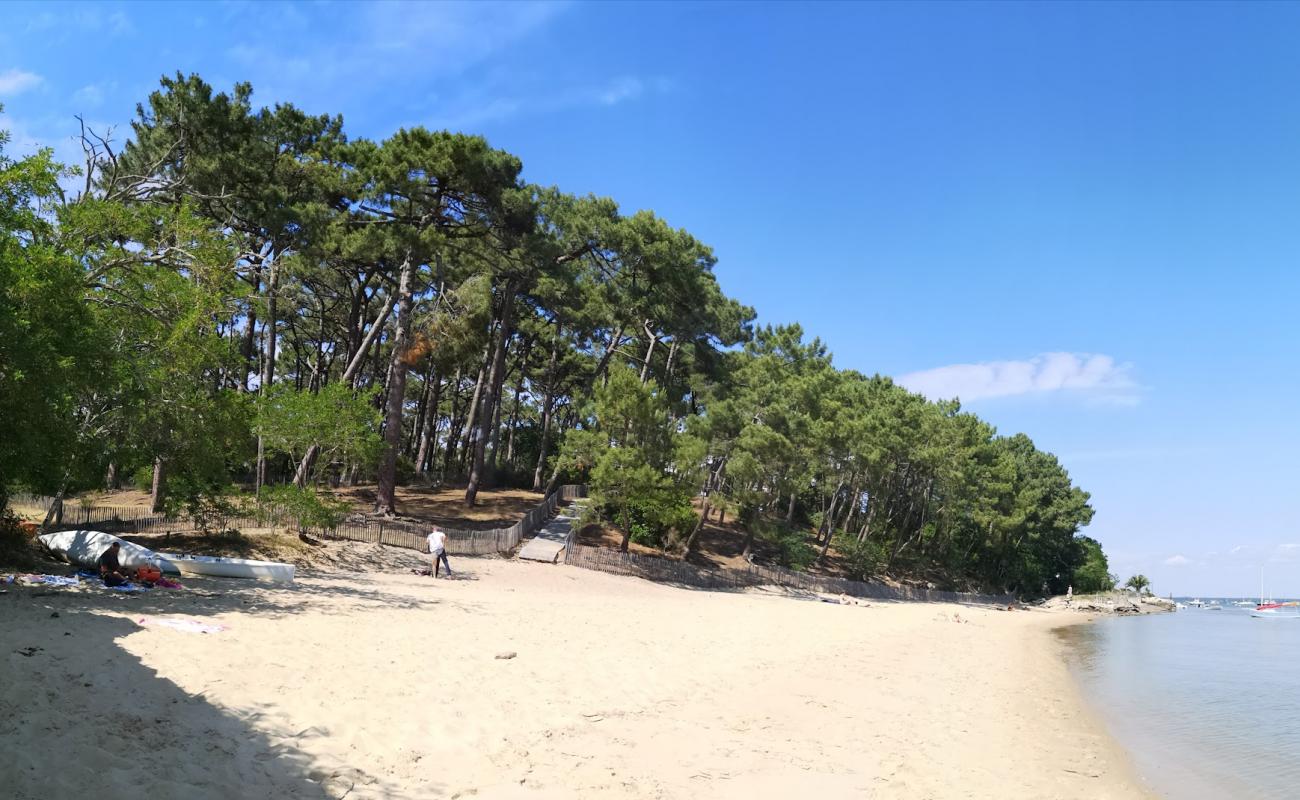 Plage de la Truquette'in fotoğrafı açık bej kum yüzey ile