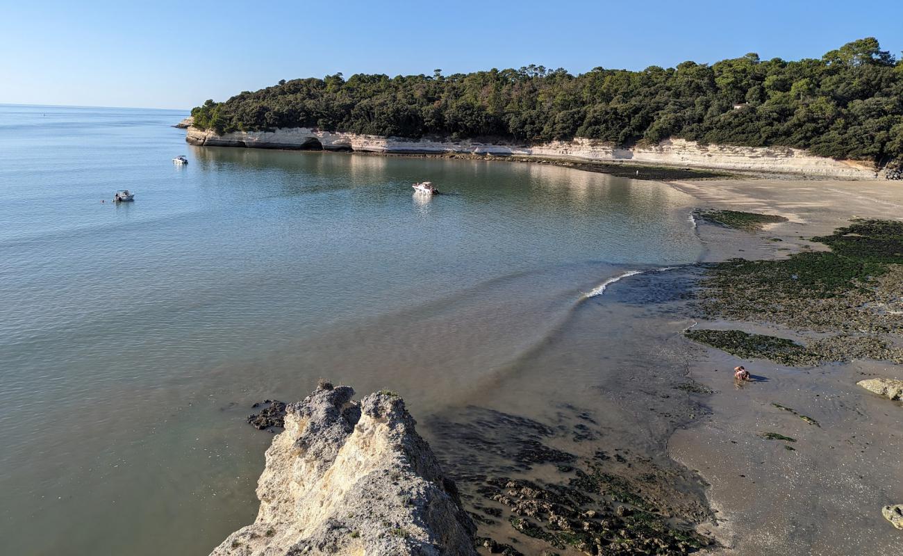 Plage de l'Arneche'in fotoğrafı parlak kum yüzey ile