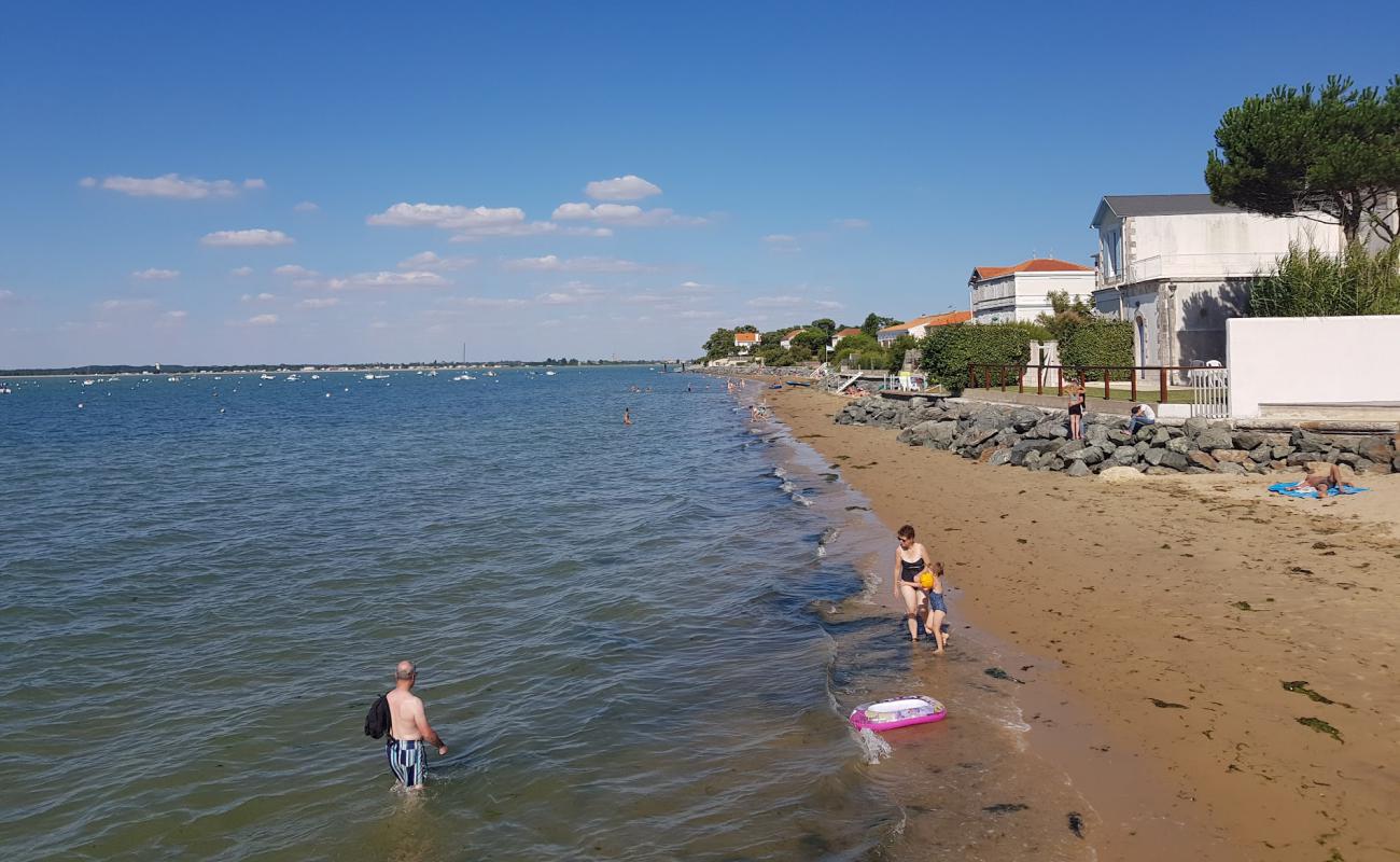 Plage de la Cepe'in fotoğrafı açık bej kum yüzey ile