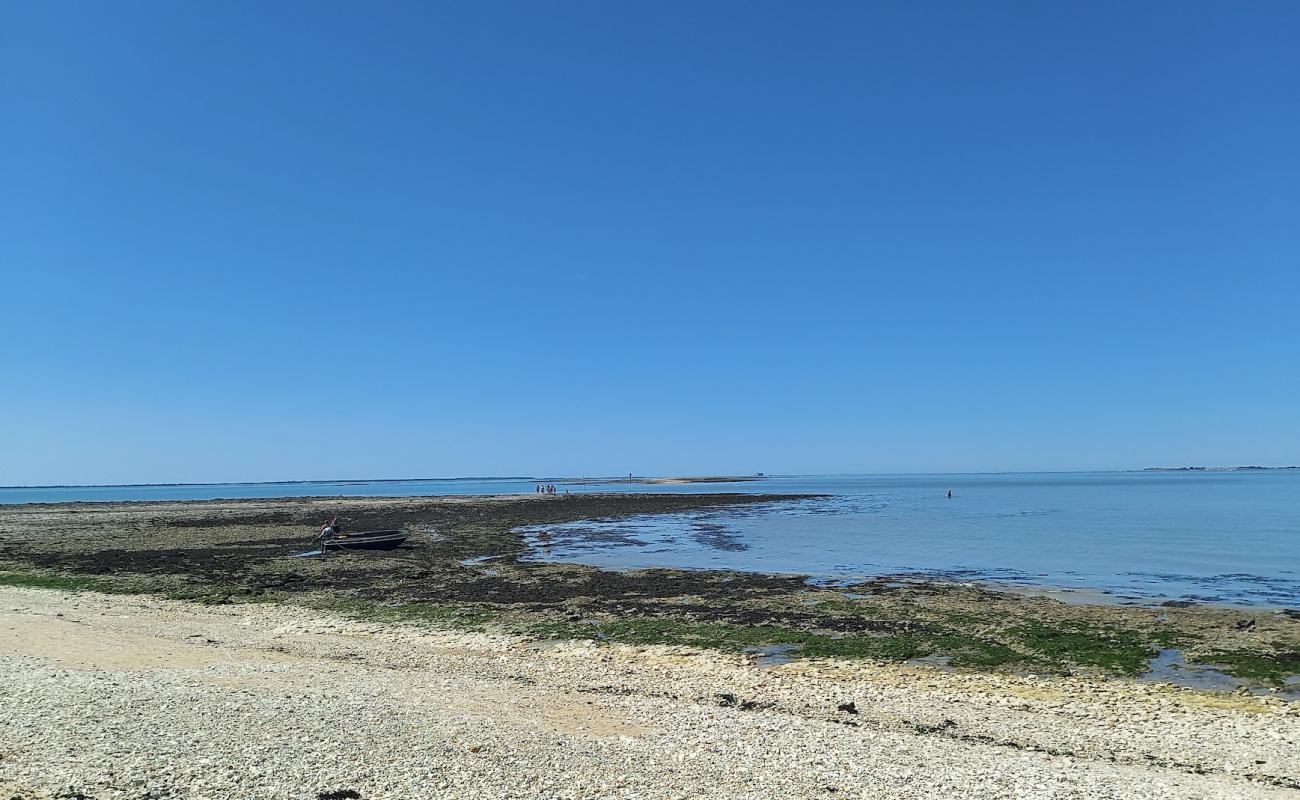 Plage Ile Madame'in fotoğrafı bej çakıl yüzey ile