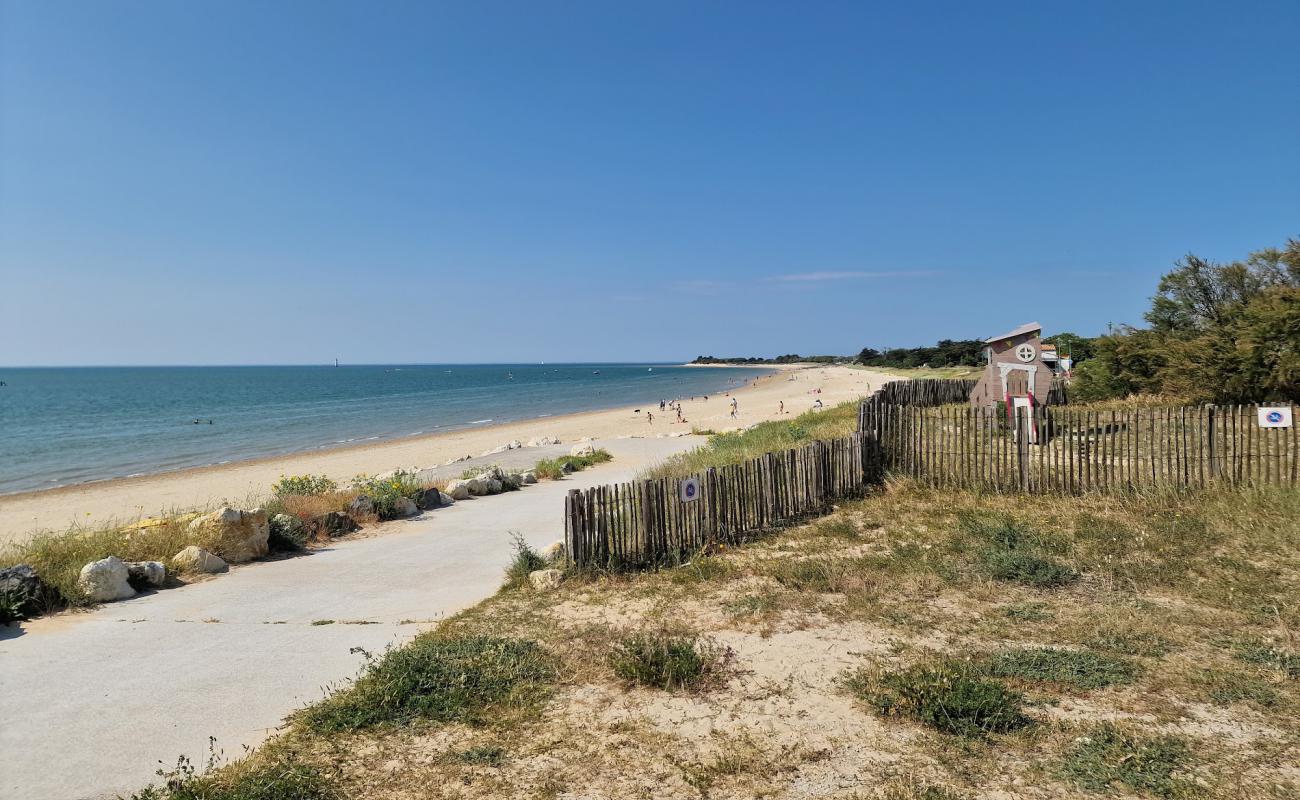 Rivedoux Plage'in fotoğrafı açık bej kum yüzey ile