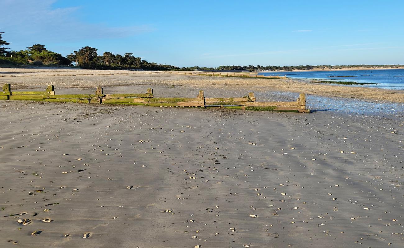 Plage Le Martray'in fotoğrafı açık bej kum yüzey ile