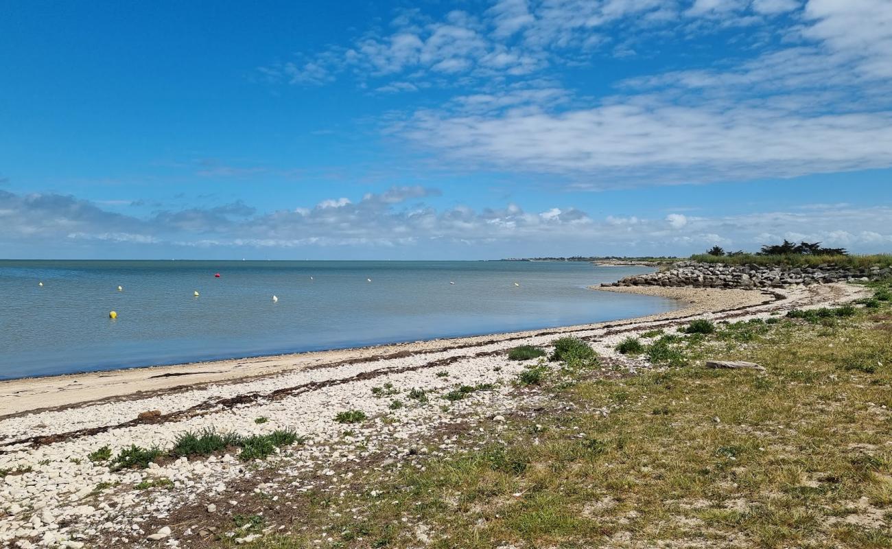 Plage de la Mer du Nord'in fotoğrafı açık bej kum yüzey ile