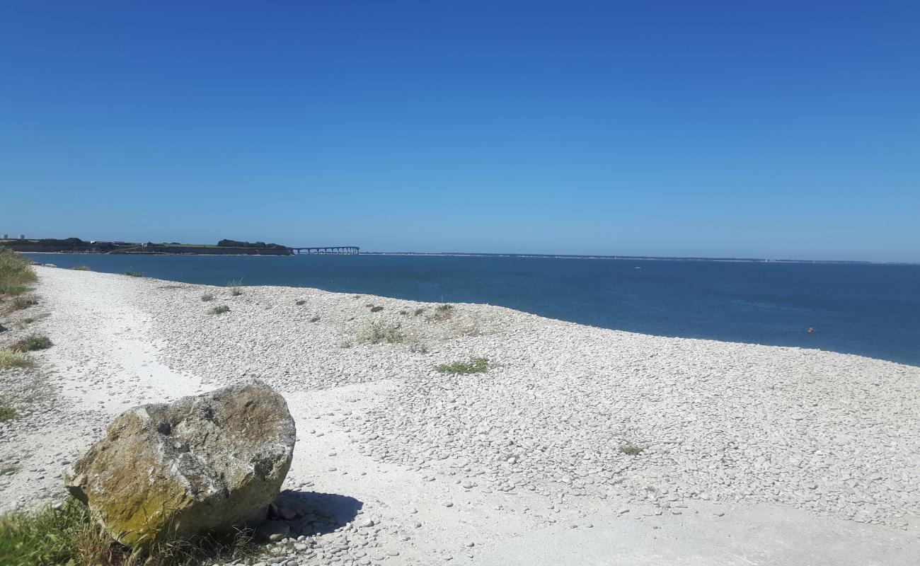 Plage de l'Anse de Pampin'in fotoğrafı bej çakıl yüzey ile
