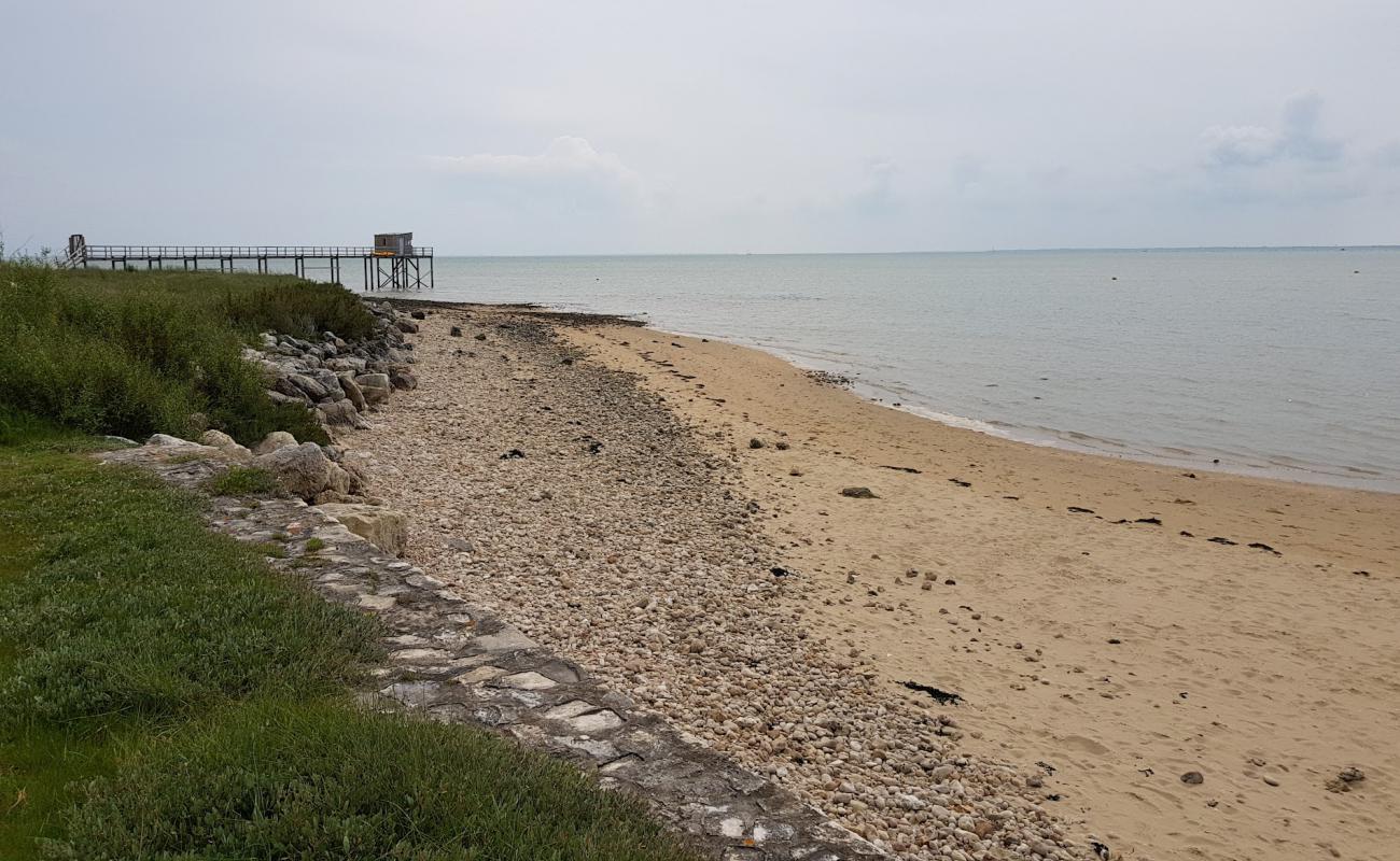 Plage aux Coquillages'in fotoğrafı bej kabuklu kum yüzey ile