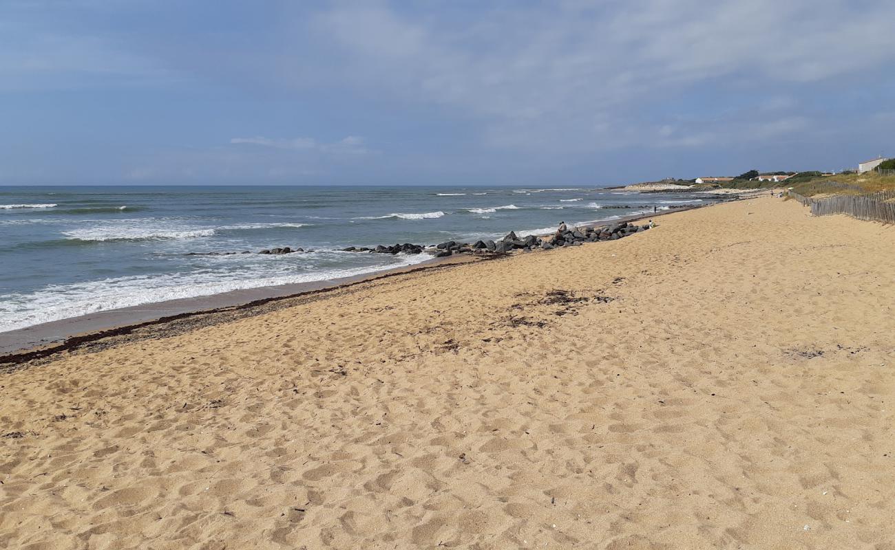 Plage de la Cotiniere'in fotoğrafı açık bej kum yüzey ile