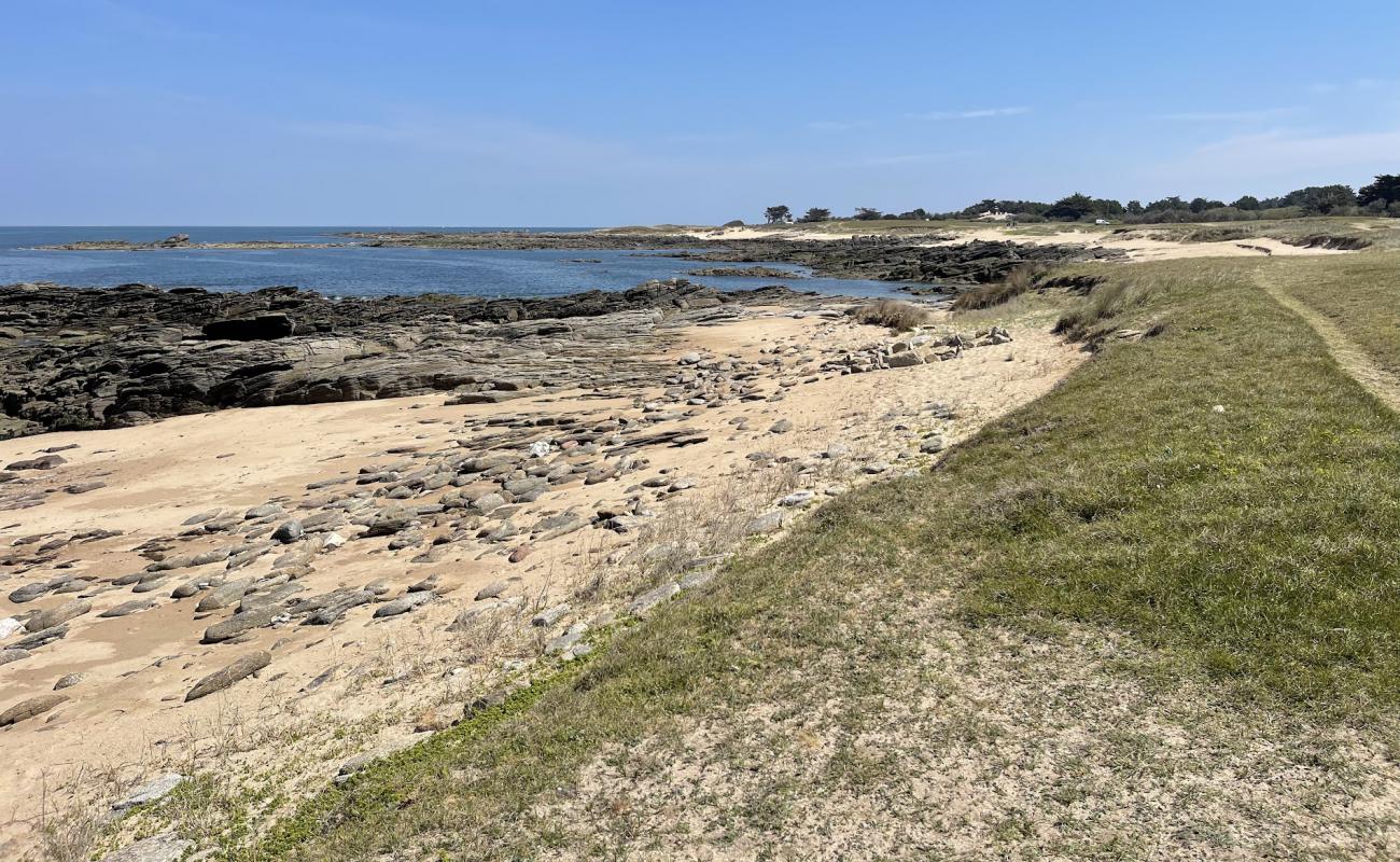 Plage de la Gournaise'in fotoğrafı açık bej kum yüzey ile