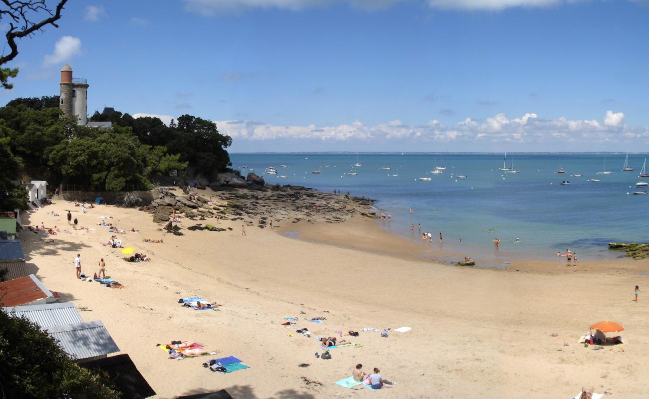 Plage de l'Anse Rouge'in fotoğrafı parlak kum yüzey ile