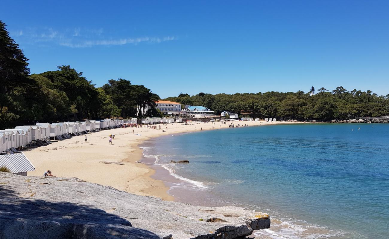 Plage des Sableaux'in fotoğrafı açık bej kum yüzey ile