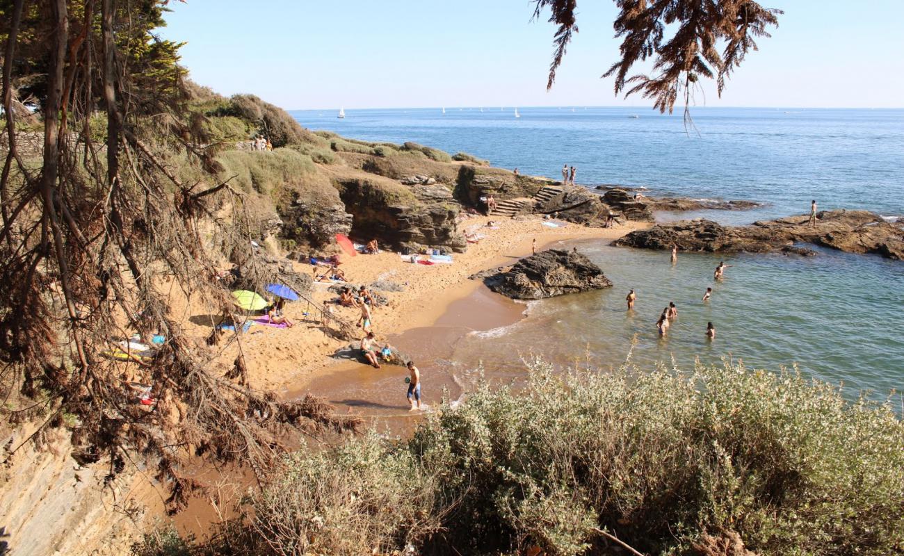 Plage des Grandes Vallees'in fotoğrafı açık bej kum yüzey ile