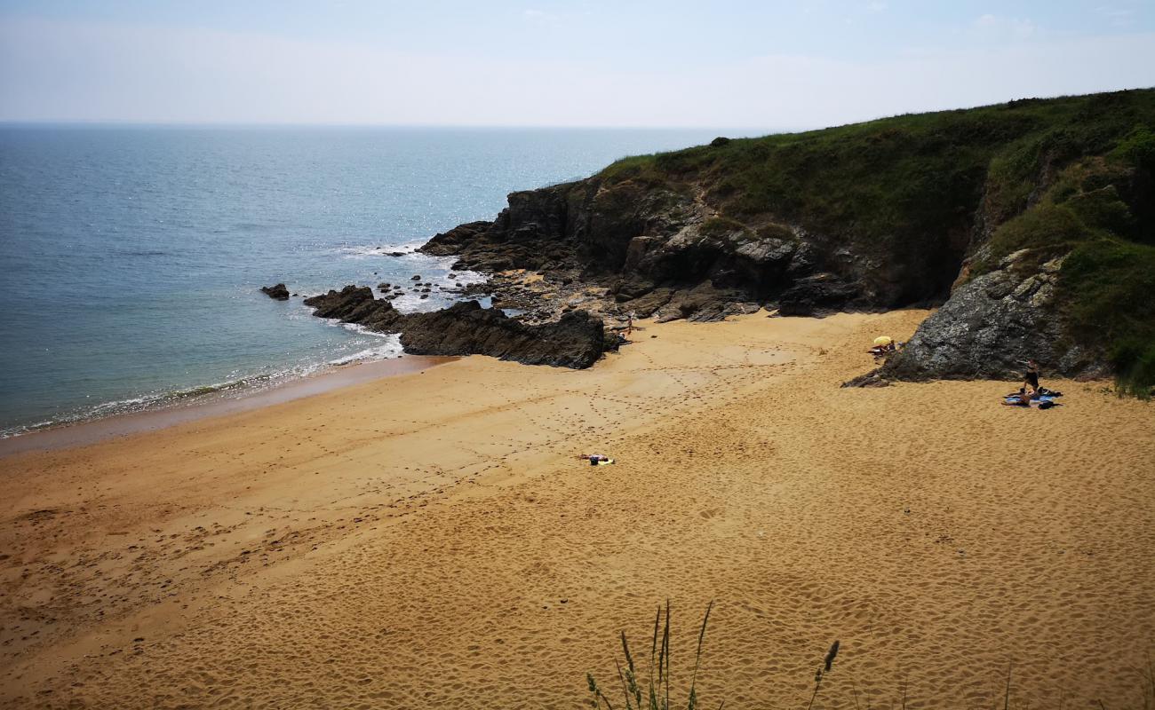 Plage des Choizeau'in fotoğrafı parlak kum yüzey ile