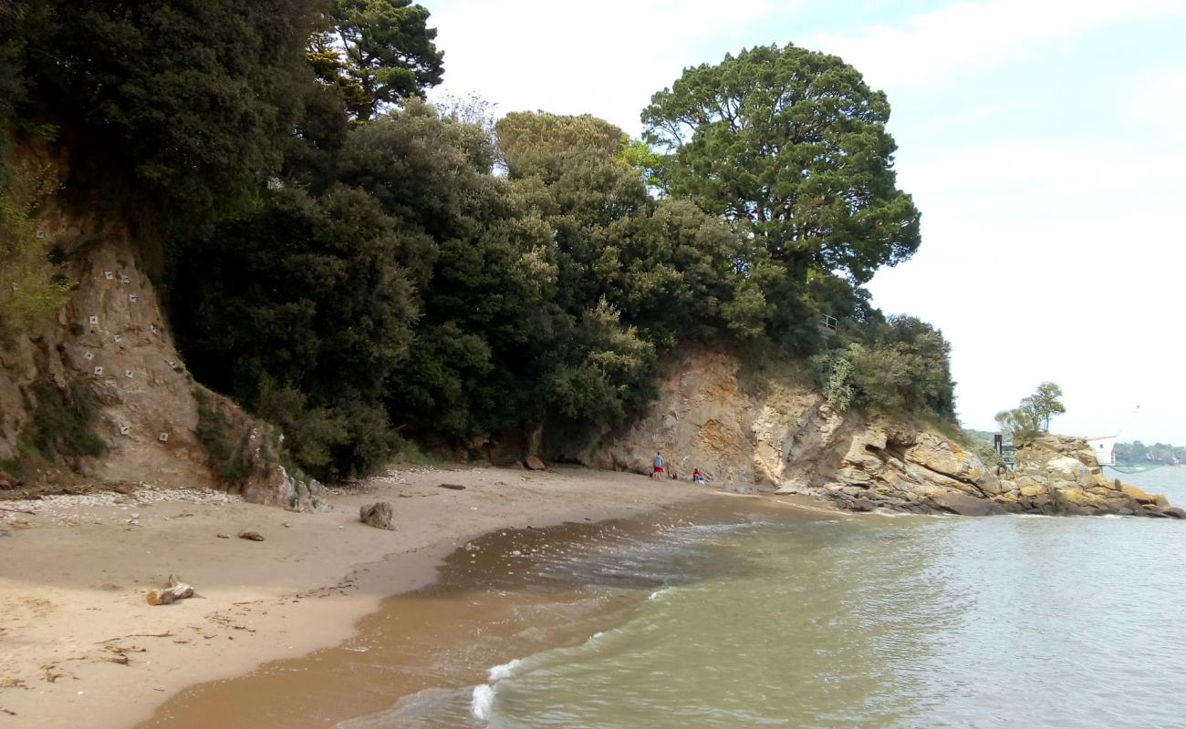 Plage de Port Charlotte'in fotoğrafı açık bej kum yüzey ile