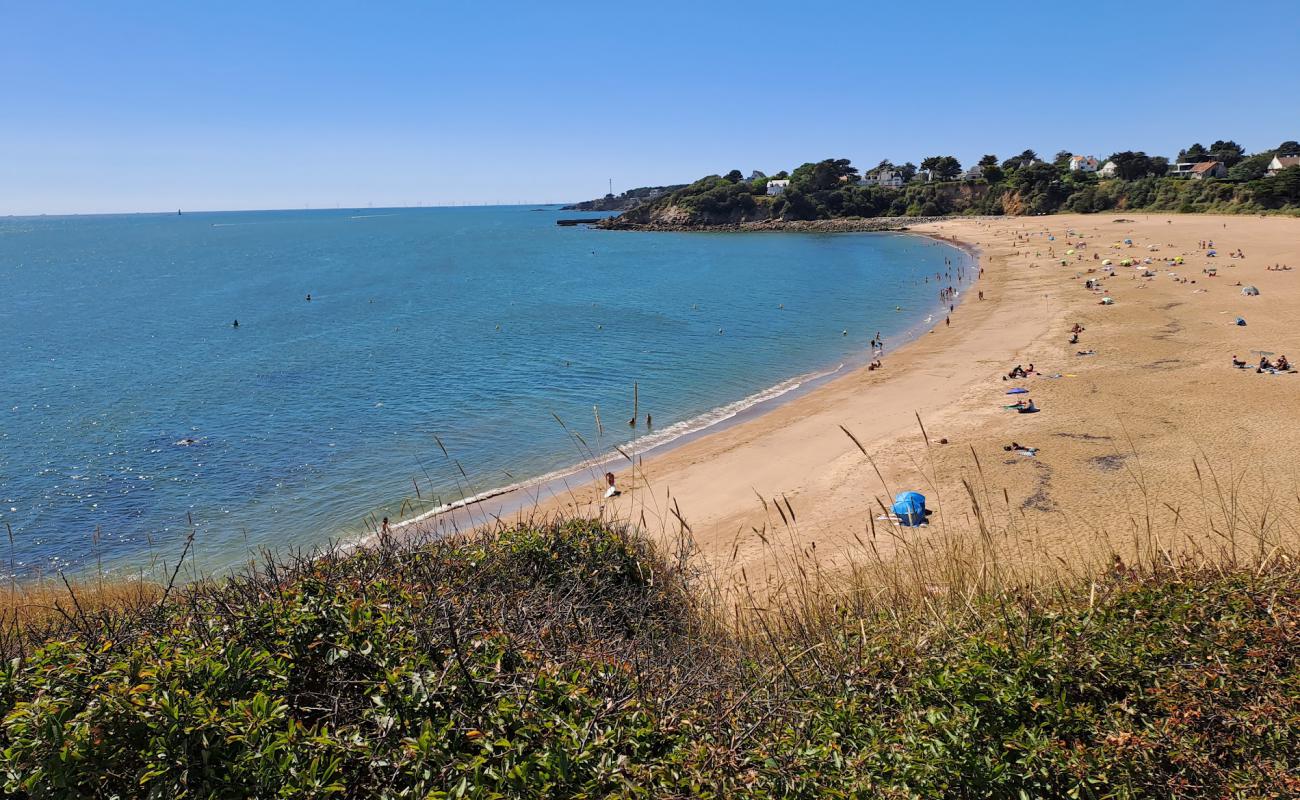 Plage de la Courance'in fotoğrafı parlak kum yüzey ile