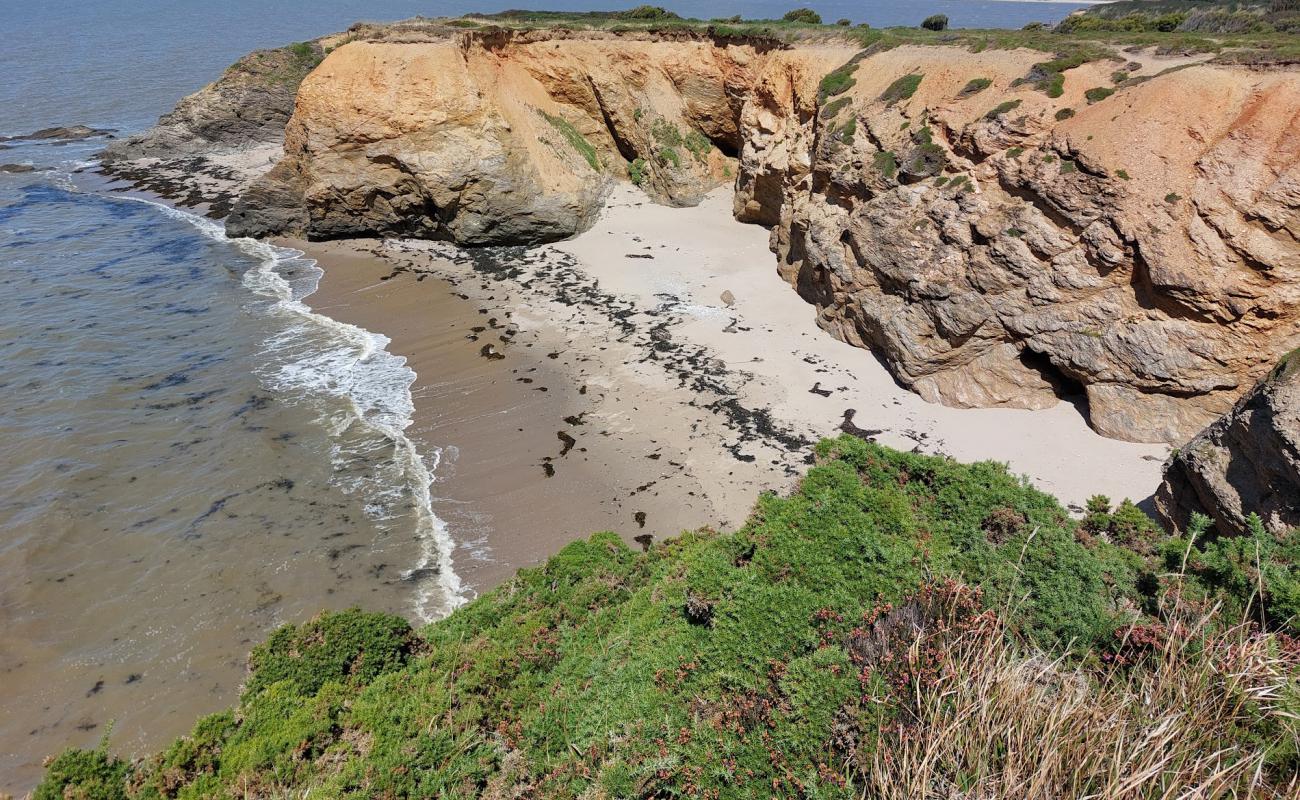 Plage De La Marche Aux Boeufs'in fotoğrafı parlak kum yüzey ile