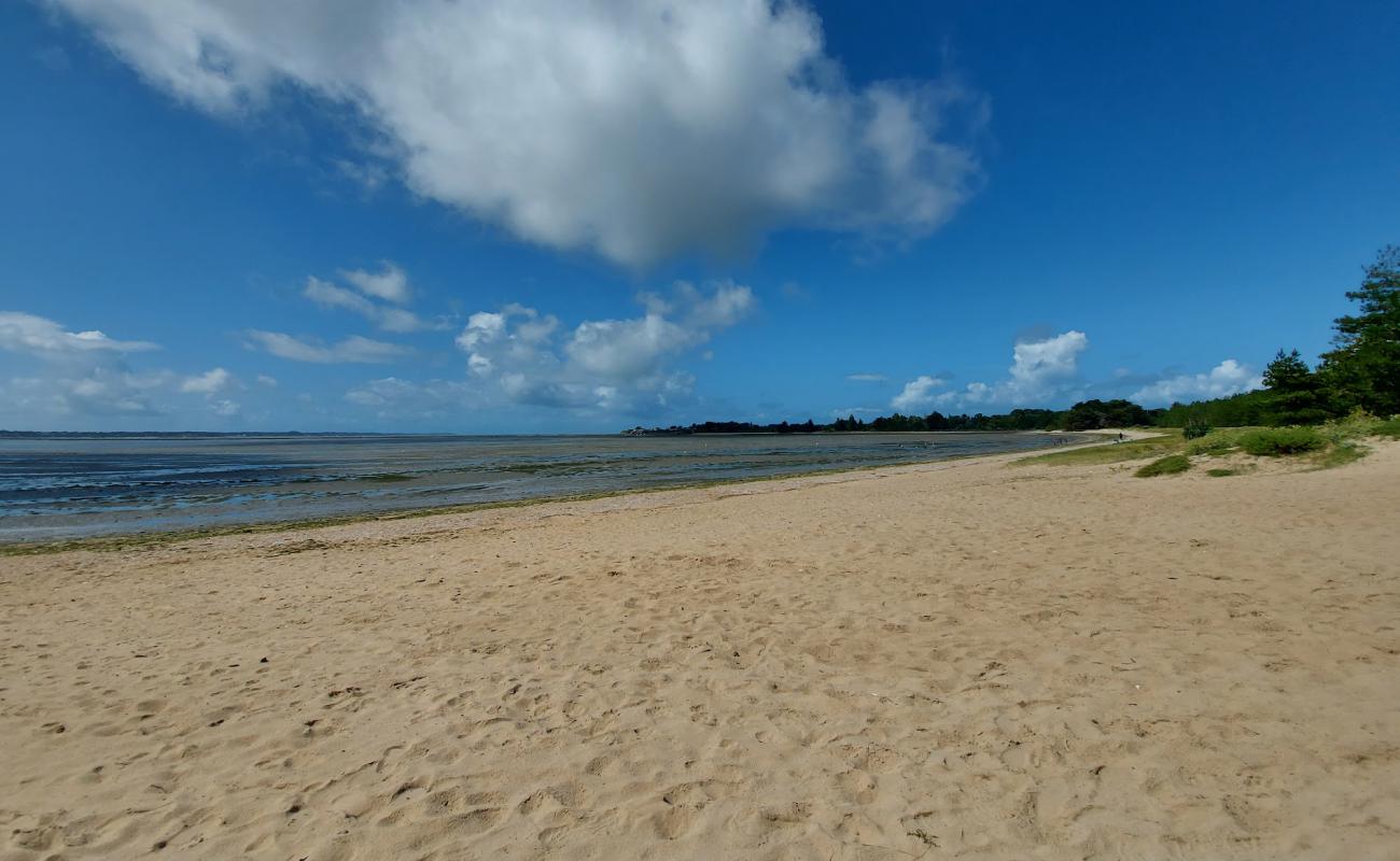 Plage Du Palandrin'in fotoğrafı parlak kum yüzey ile