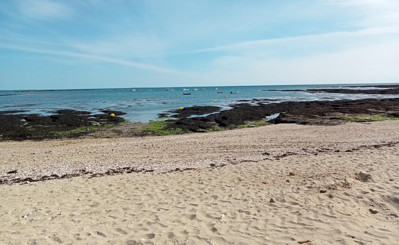 Plage de Penerf'in fotoğrafı çakıl ile kum yüzey ile