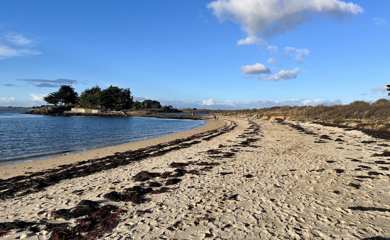 Plage de la Villeneuve'in fotoğrafı açık bej kum yüzey ile
