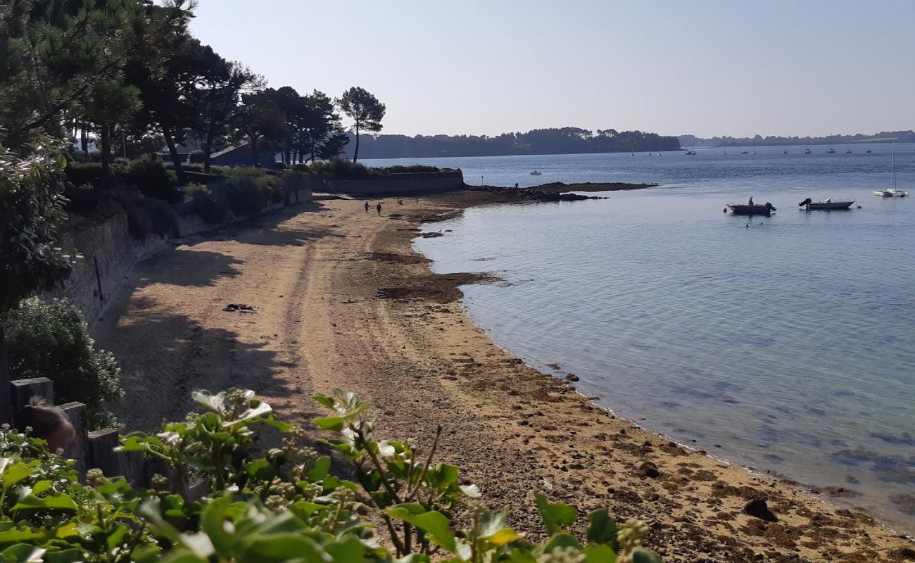 Plage du Berchis'in fotoğrafı açık bej kum yüzey ile