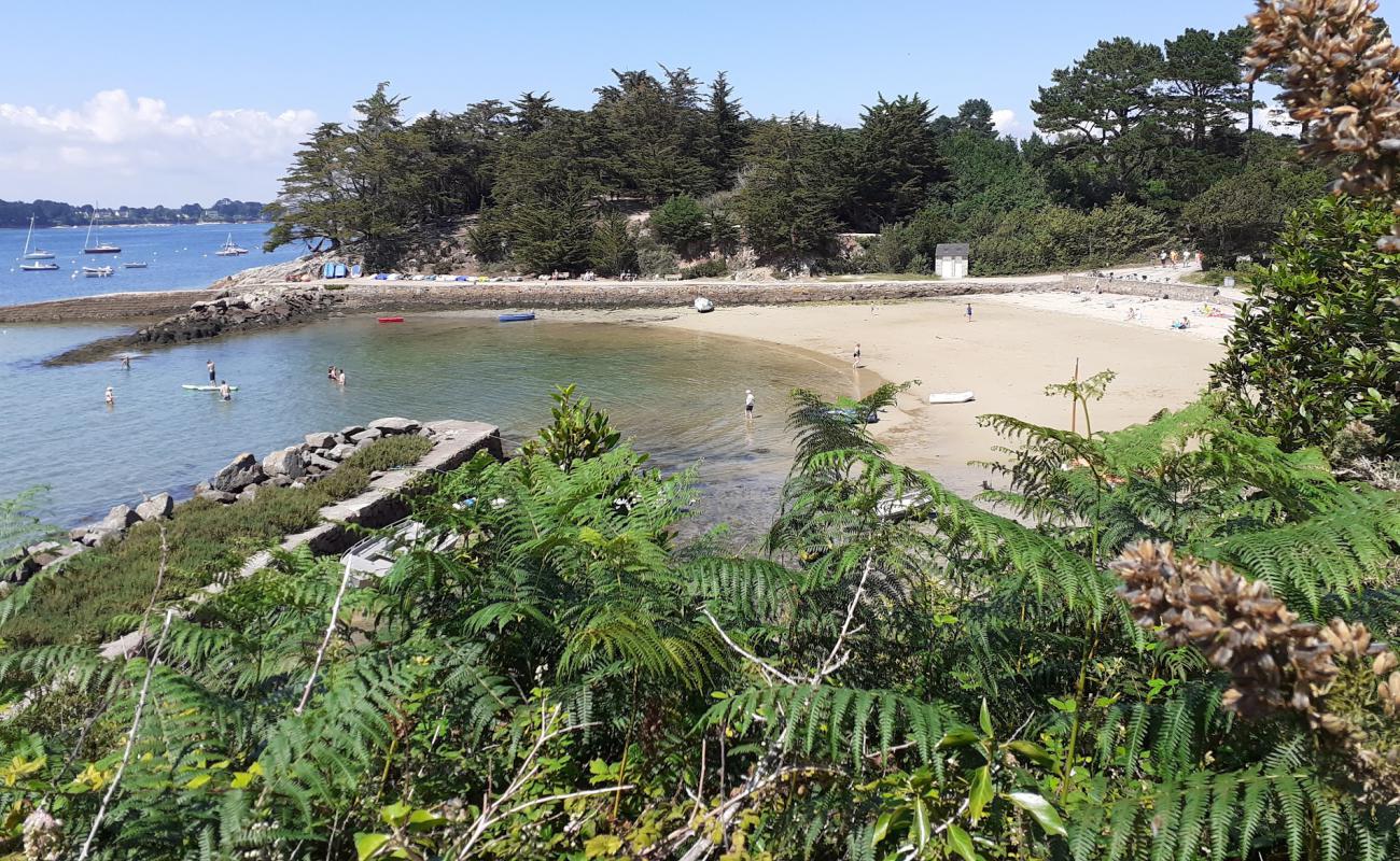 Plage du Gored'in fotoğrafı parlak kum yüzey ile