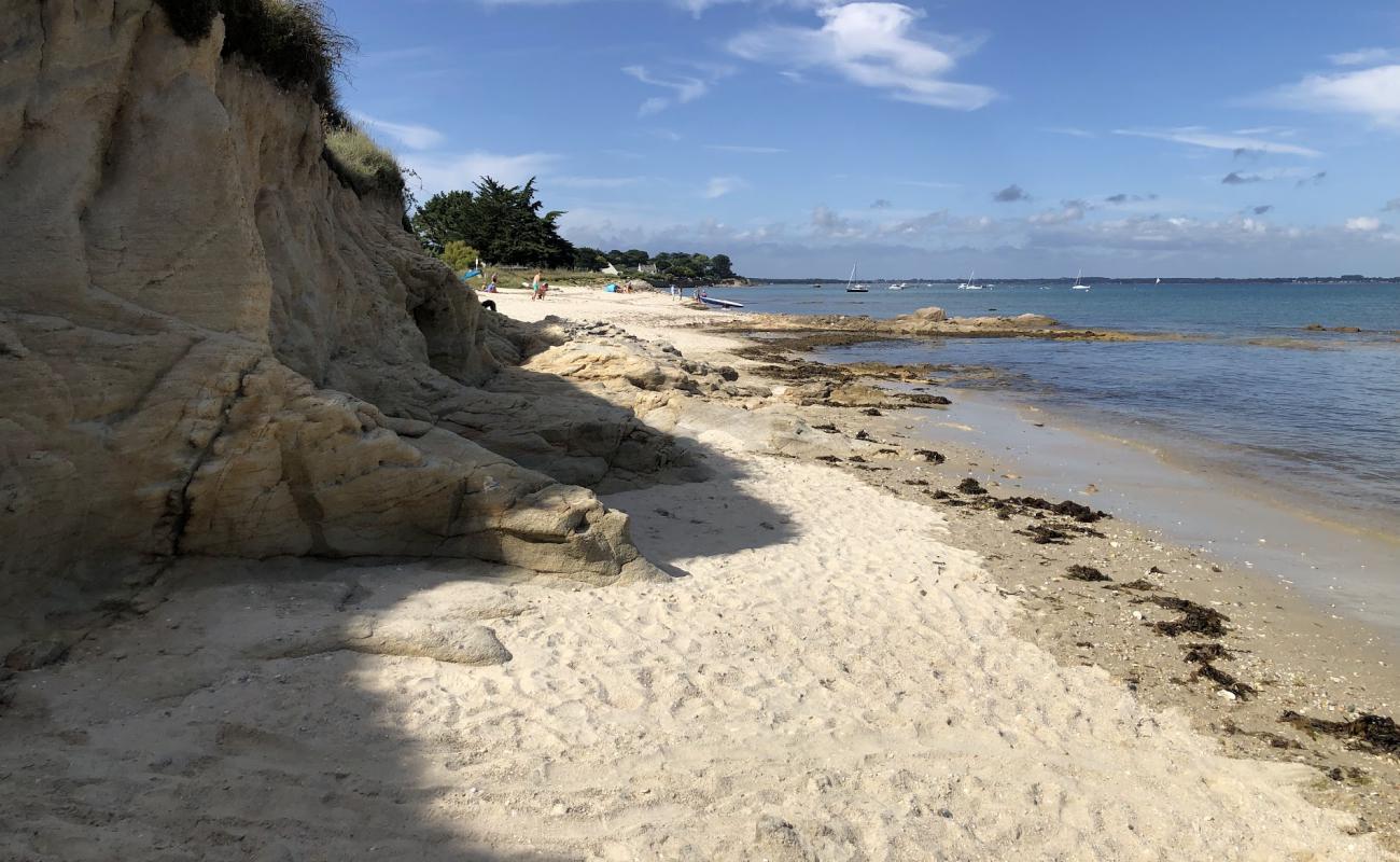 Plage du Lizeau'in fotoğrafı açık bej kum yüzey ile
