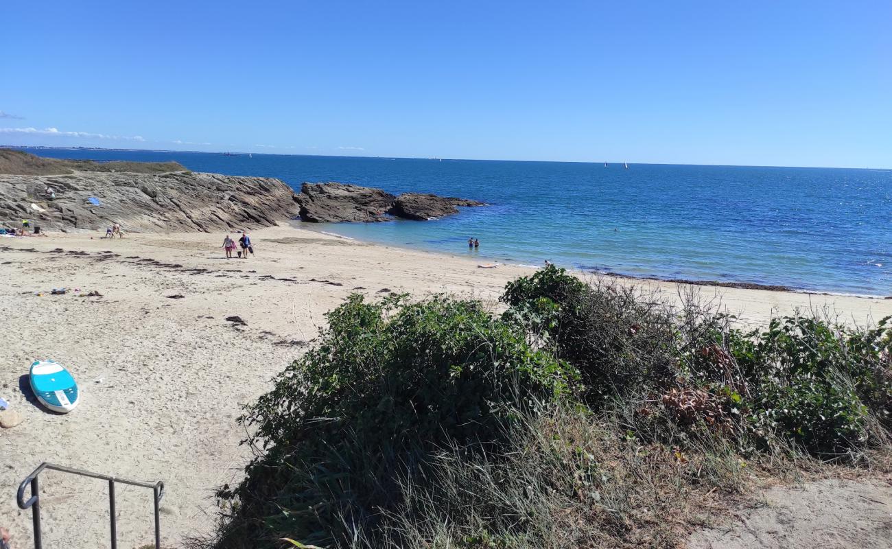 Plage du Petit Perello'in fotoğrafı parlak kum yüzey ile