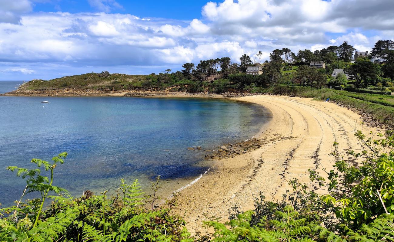 Plage du Cosmeur'in fotoğrafı açık bej kum yüzey ile