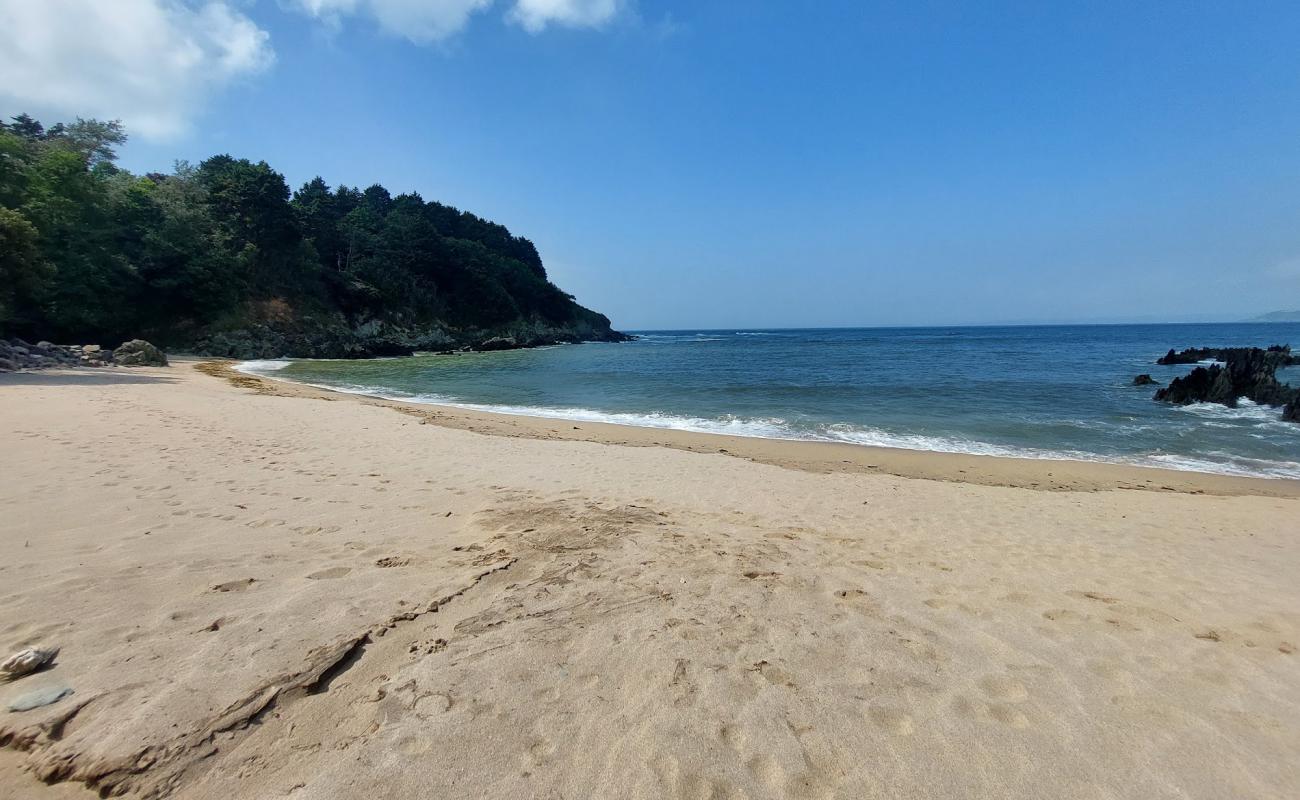 Plage de Pors Mellec'in fotoğrafı açık bej kum yüzey ile