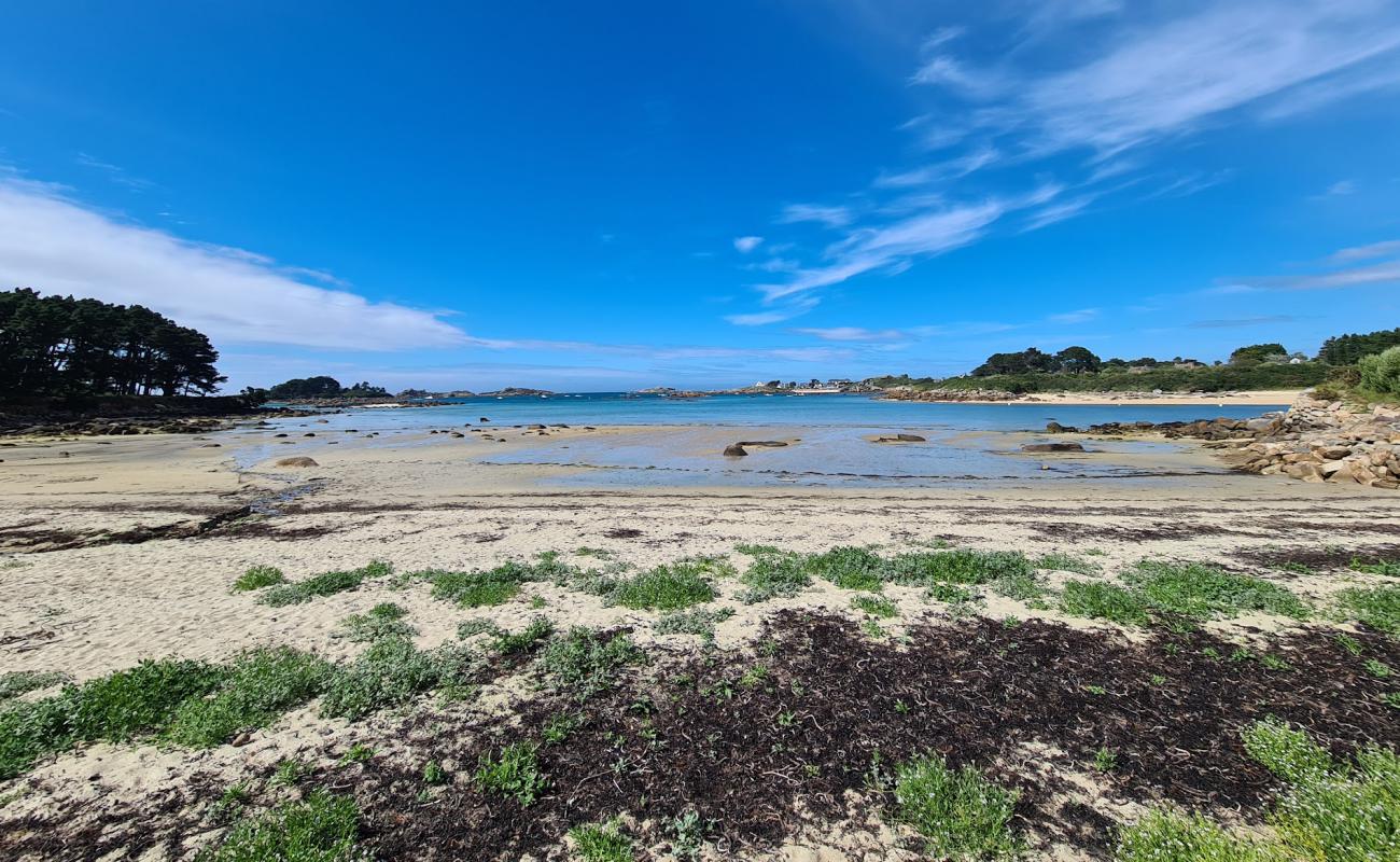 Plage du Grannec'in fotoğrafı açık bej kum yüzey ile
