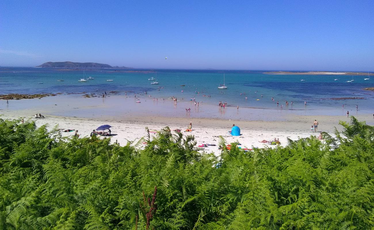 Plage de Keriec'in fotoğrafı açık bej kum yüzey ile