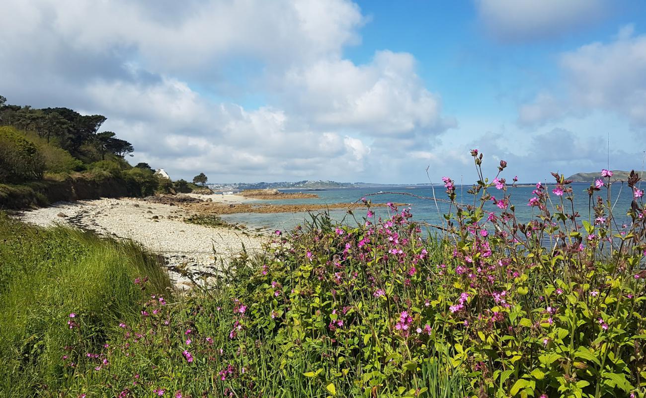 Plage de Port le Goff'in fotoğrafı kayalık arazi yüzey ile