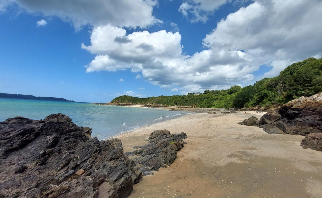 Plage de la Fosse'in fotoğrafı açık bej kum yüzey ile