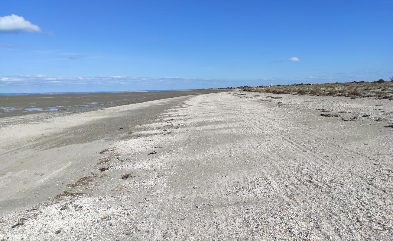 Plage de Cherrueix'in fotoğrafı parlak kum yüzey ile