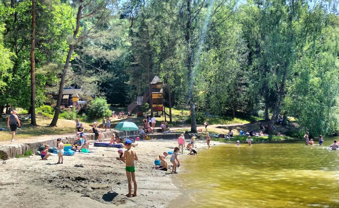 Plage de l'etang de Hasselfurth'in fotoğrafı açık bej kum yüzey ile