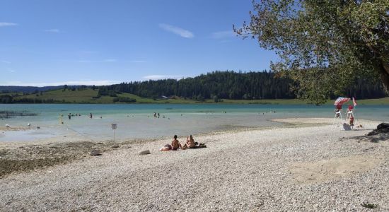 Plage du Lac De Remoray