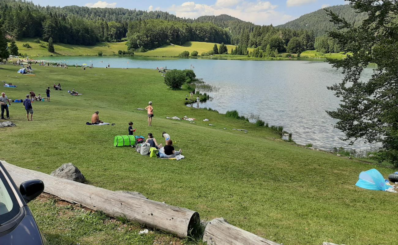 Plage du Lac Genin'in fotoğrafı çim yüzey ile