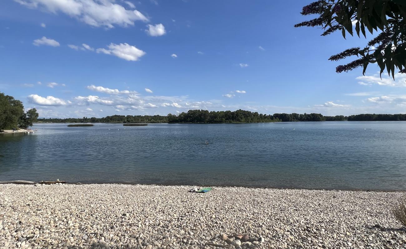 Plage de la Mama'in fotoğrafı gri çakıl taşı yüzey ile