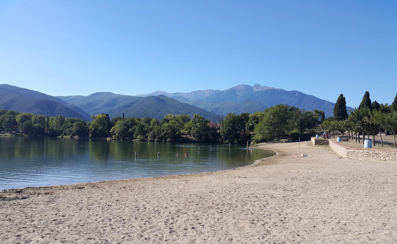 Plage des Escoumes'in fotoğrafı açık bej kum yüzey ile