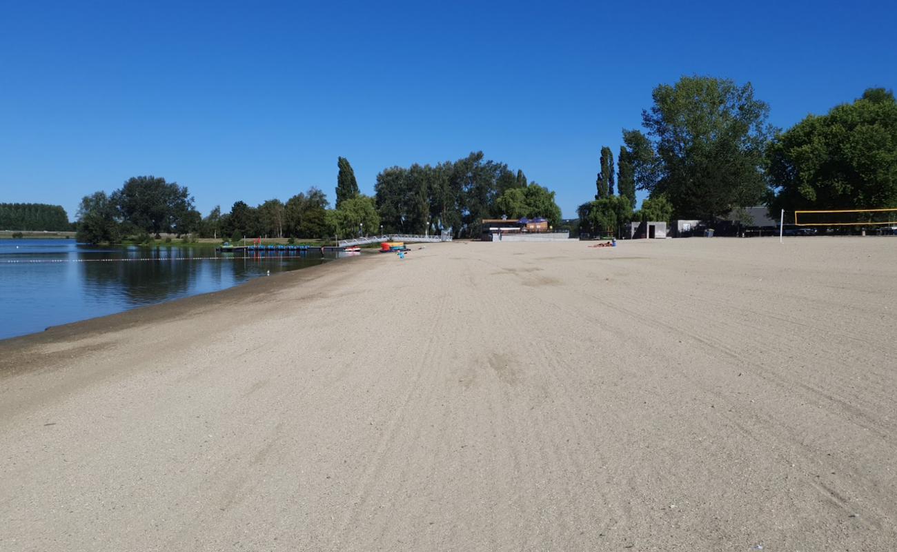 Plage du lac de Pont-l'Eveque'in fotoğrafı parlak kum yüzey ile