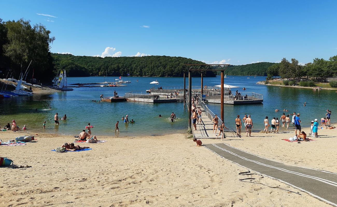 Plage du Puech des Ouilhes'in fotoğrafı açık bej kum yüzey ile