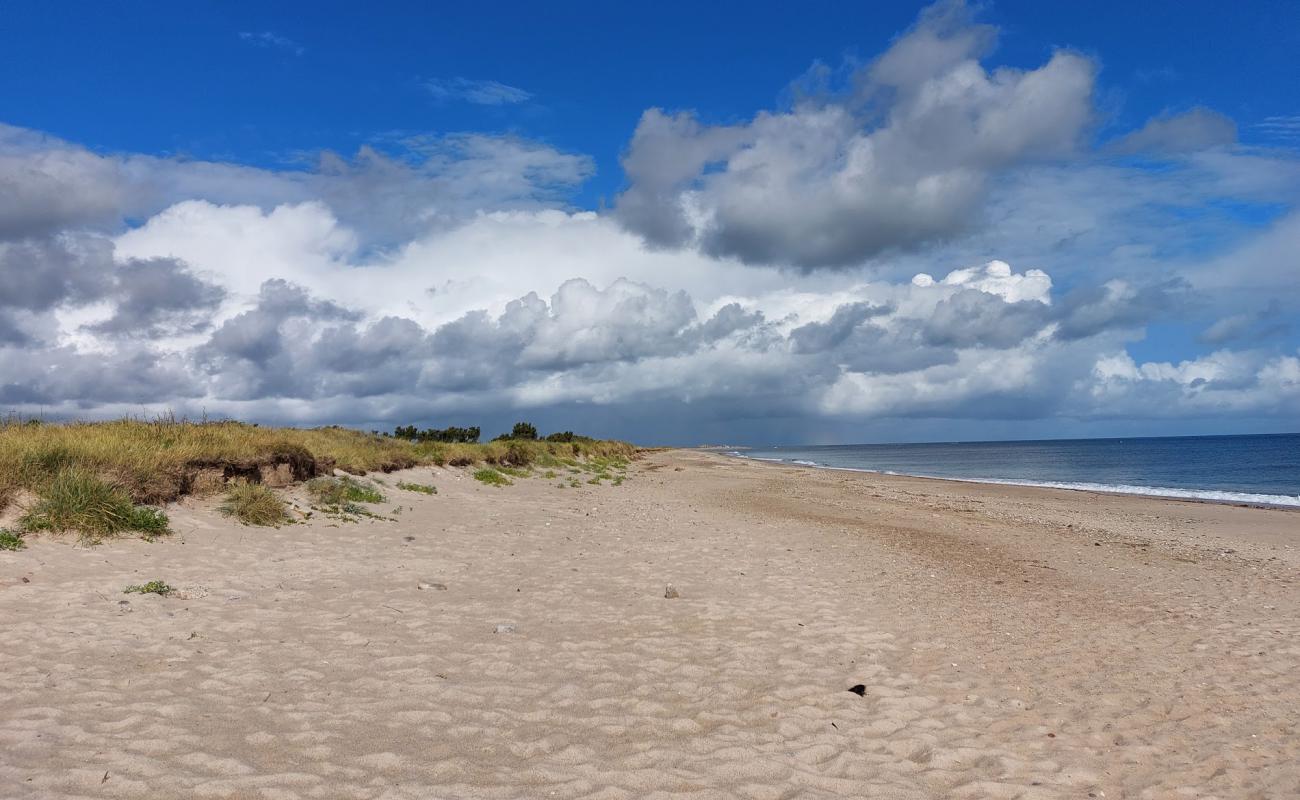 Plage De Gouberville'in fotoğrafı gri kum yüzey ile